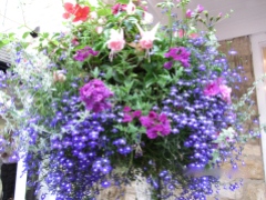 The Beautiful Flower Baskets of Broadway, UK
