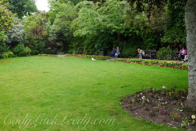 The Garden of Trewyn House, St Ives