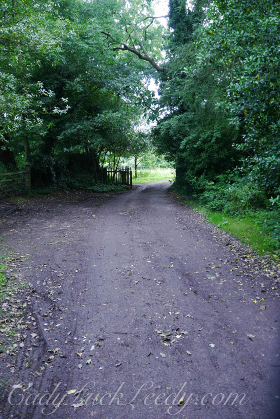 The Smaller Lane. Benenden,UK